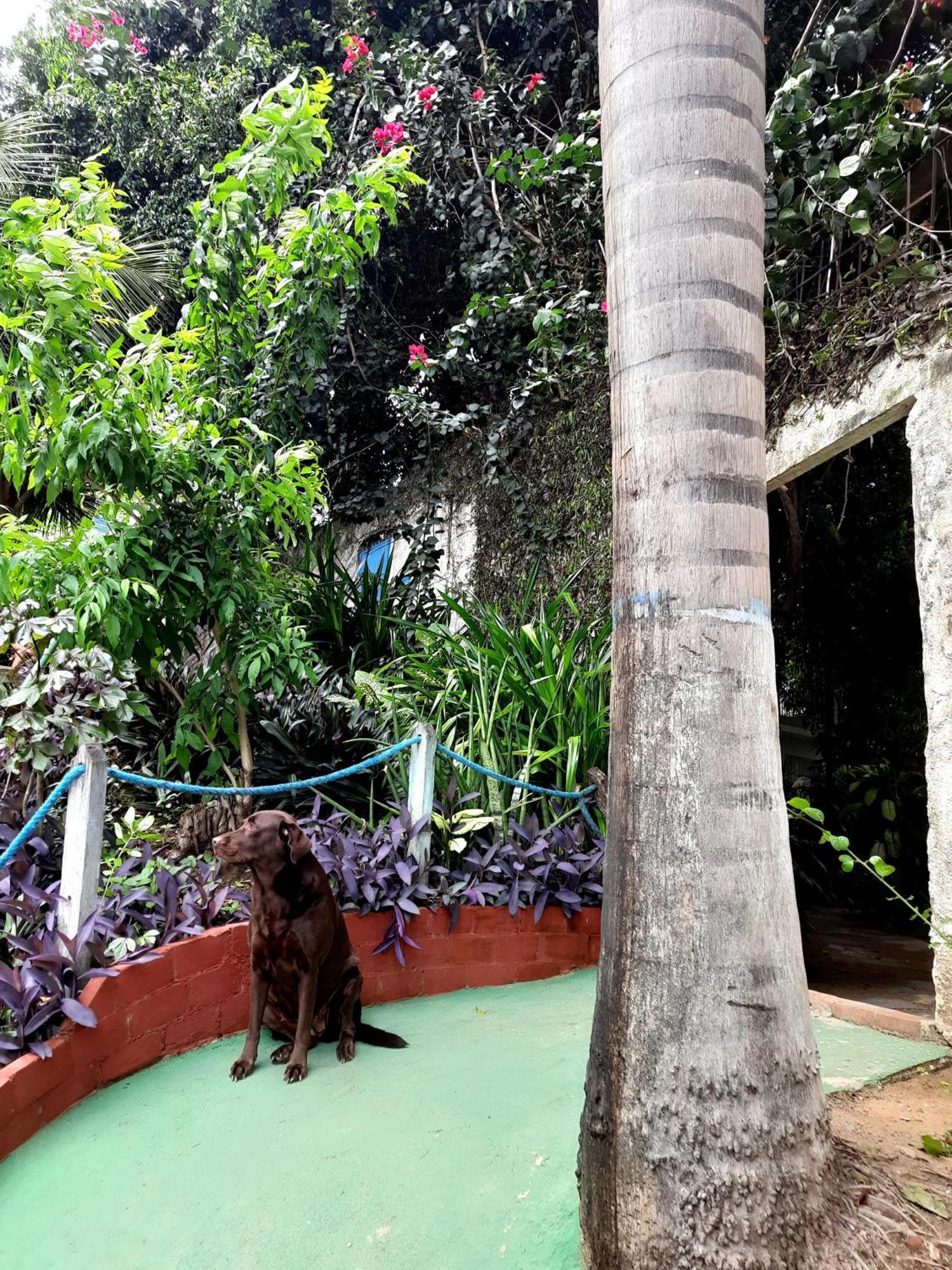 Casa De Temporada Das Mangueiras Villa Olinda Exterior foto