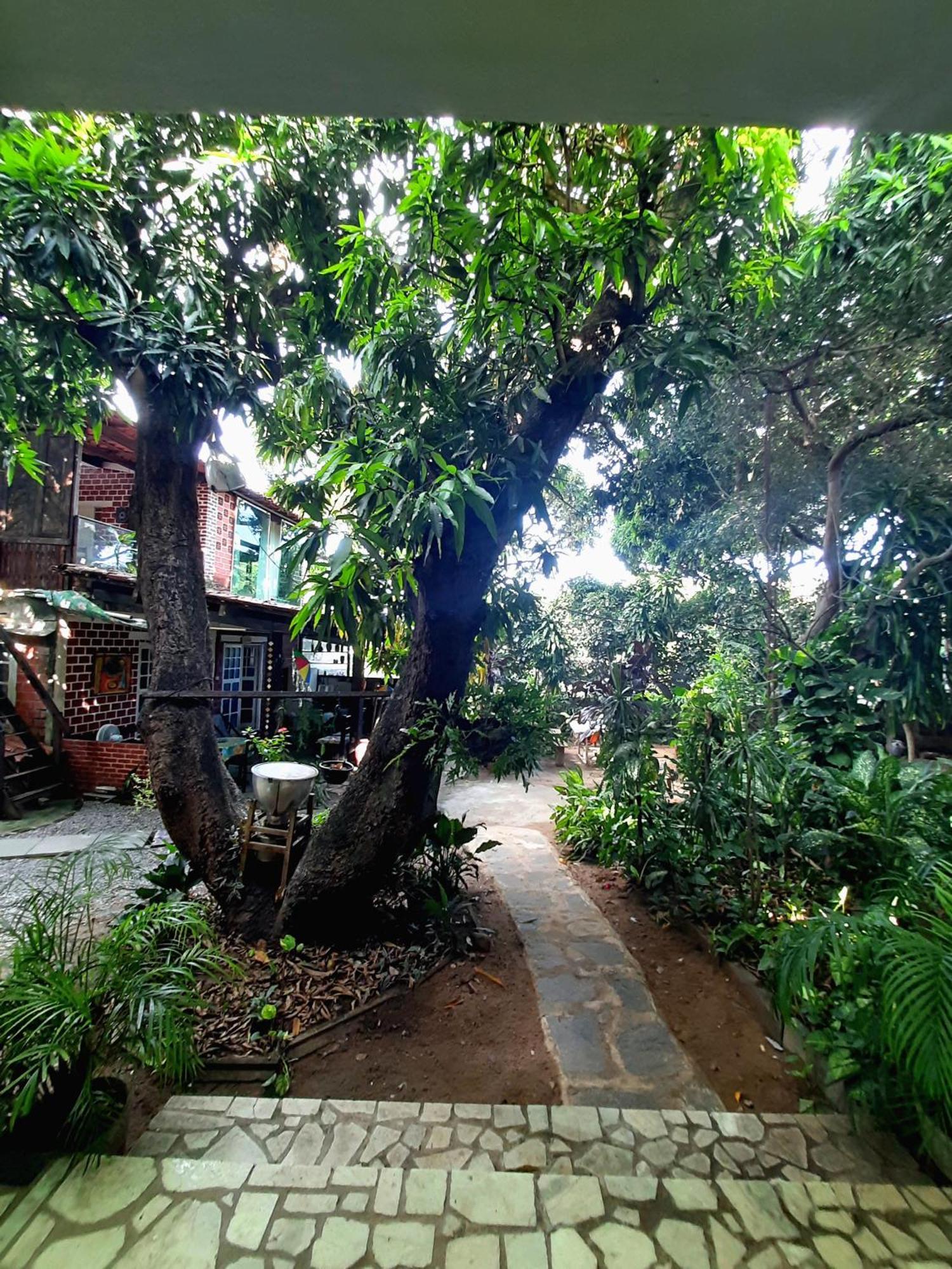 Casa De Temporada Das Mangueiras Villa Olinda Exterior foto