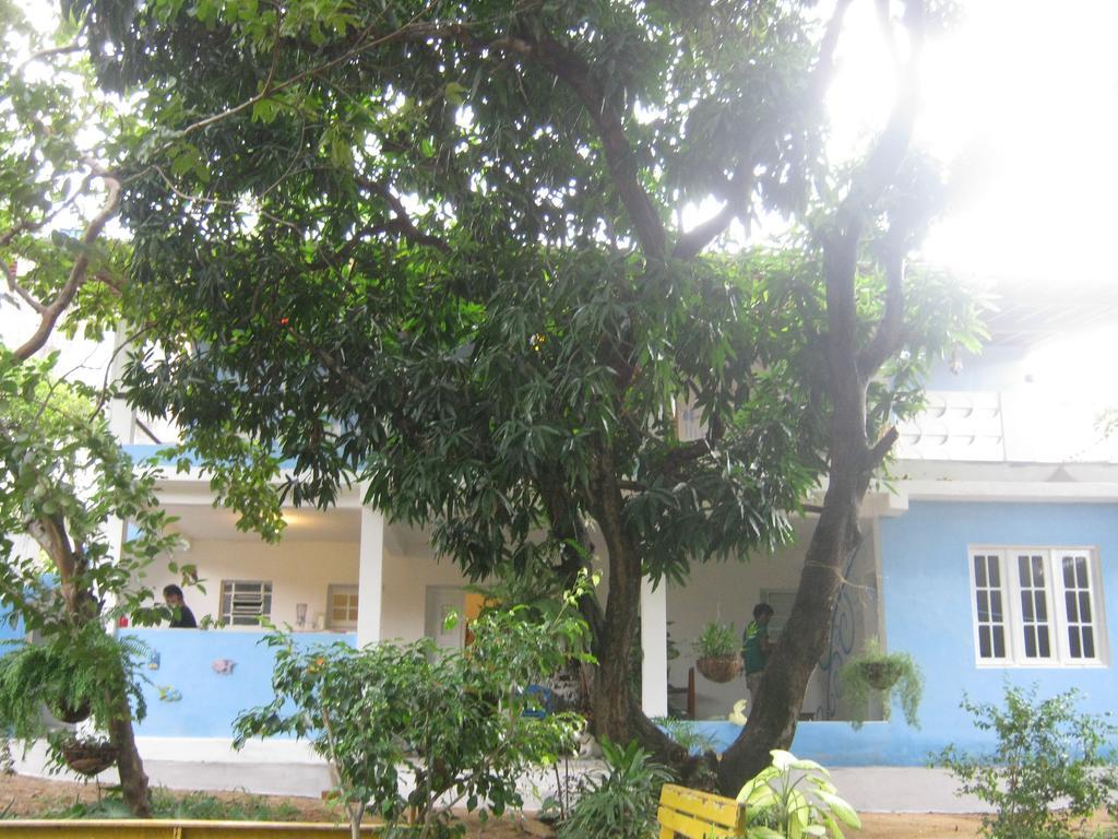 Casa De Temporada Das Mangueiras Olinda Cameră foto